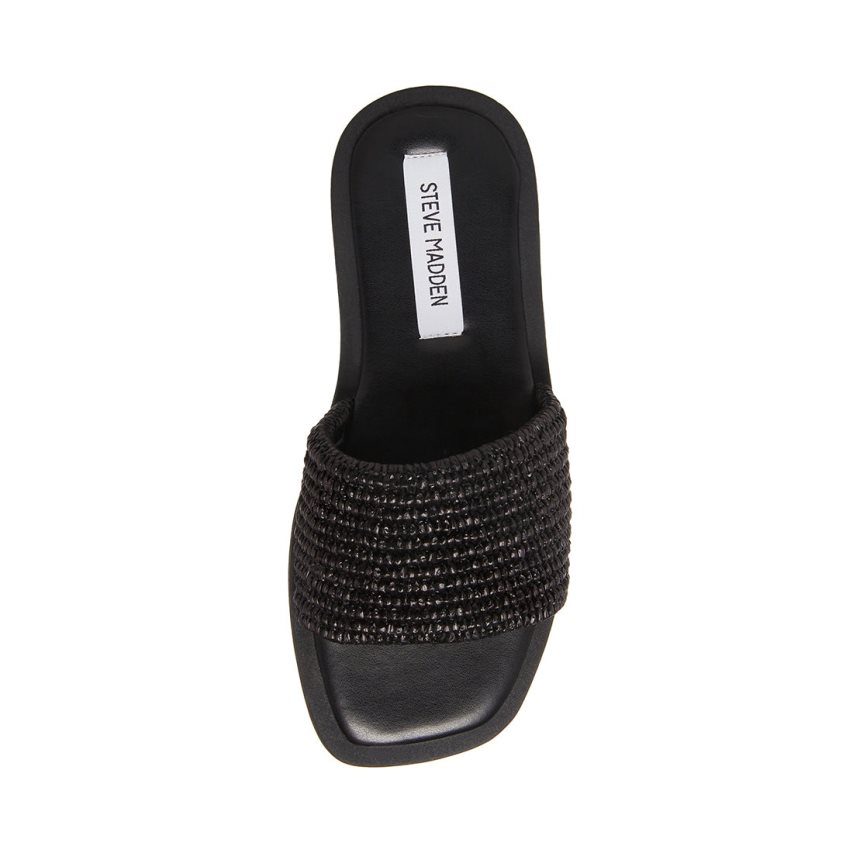 Black Steve Madden Leigh Women's Slides | PH 5246UCM